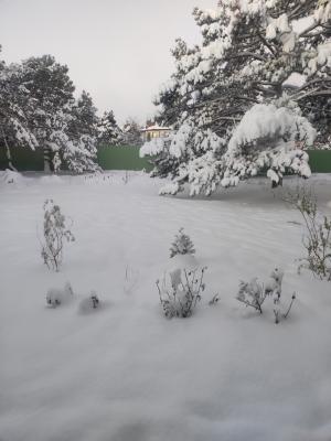 Прикрепленное изображение: IMG_20211222_081803.jpg